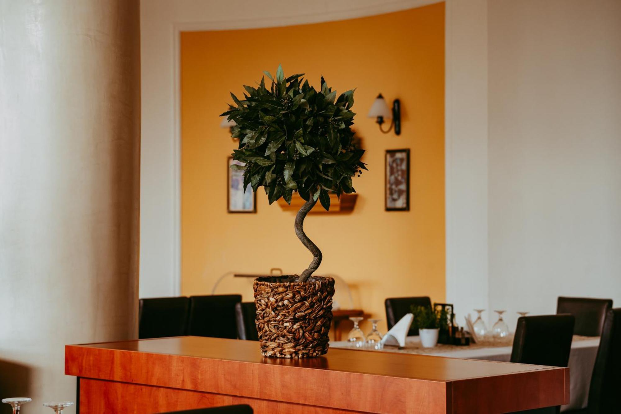 Hotel Aurelia Chisoda Экстерьер фото