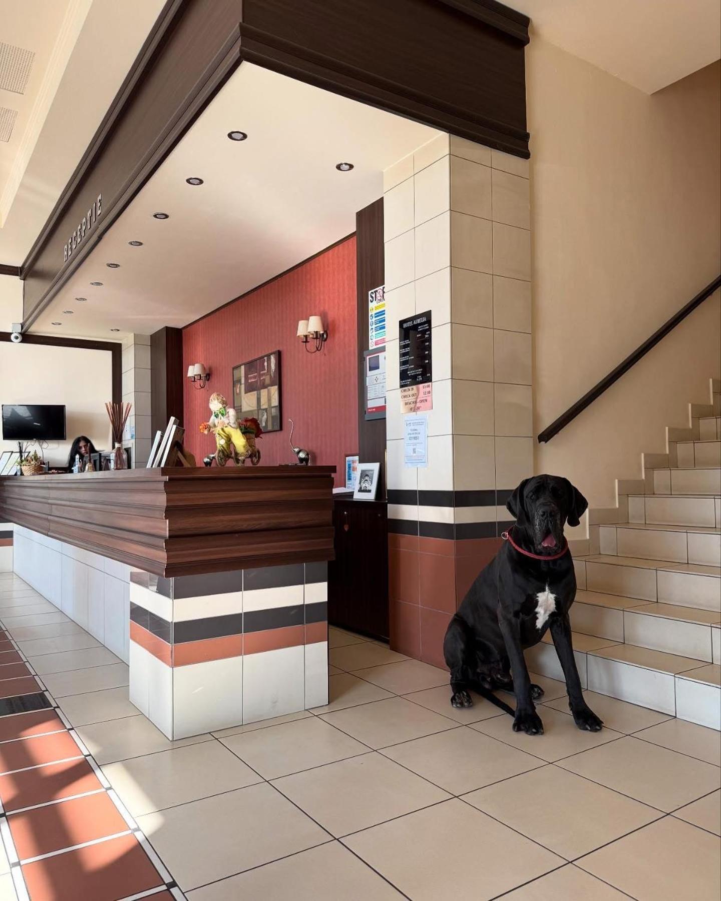 Hotel Aurelia Chisoda Экстерьер фото